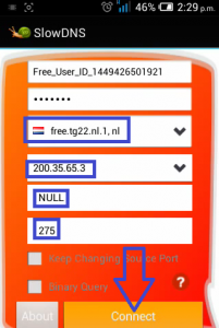 Internet Slow DNS gratis android