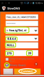 Slow DNS Mayo Honduras