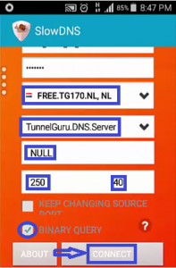 Slow dns todo Julio