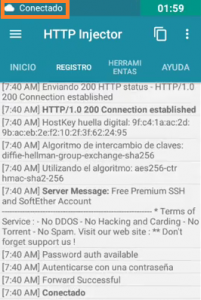 mayort