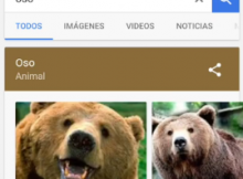osxo