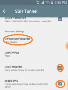 Kpn tunel Entel