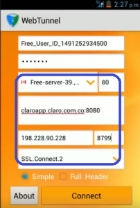 Webtunnel conexion full