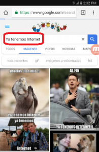 venrgasr