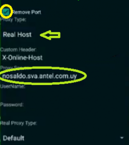 Host 4G ilimitado Antel