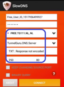 Tener conexión Tigo GT