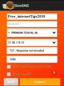 Como ser Premium SlowDNS