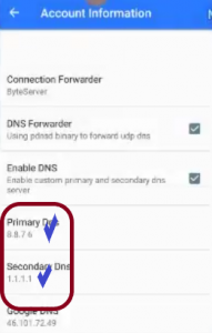 DNS personalizados 2018