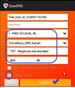 Conexión Tim 4G datos libres